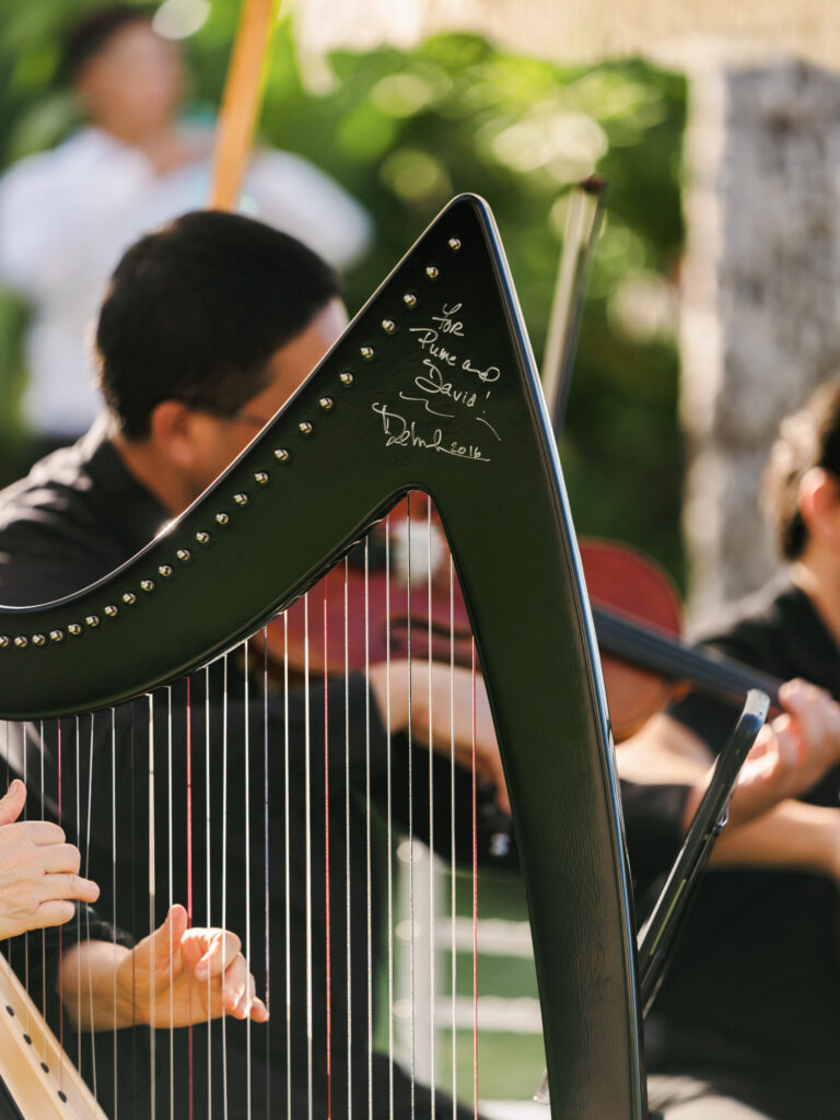 Live classical musicians with a beautiful black harp and violins providing luxury wedding reception entertainment