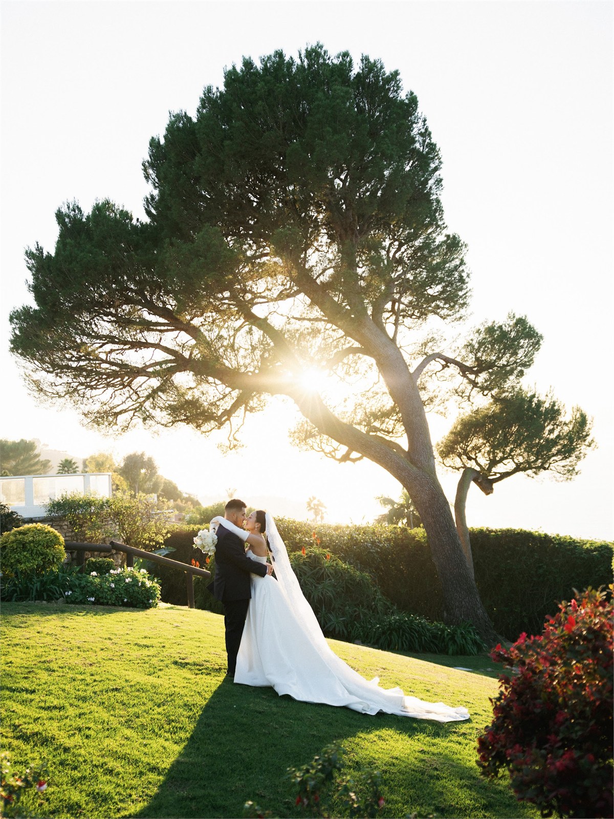 Wedding couple standing beneath a large tree