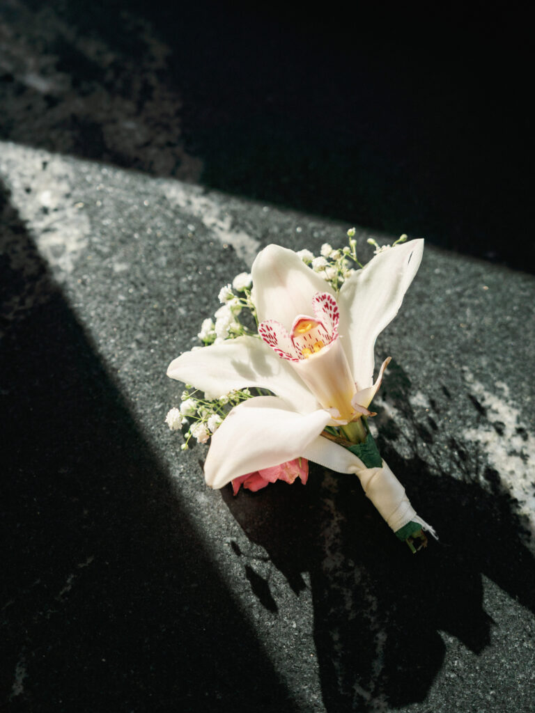 White orchid boutonniere with baby's breath pinned to a dark fabric backdrop under a dramatic strip of direct sunlight.