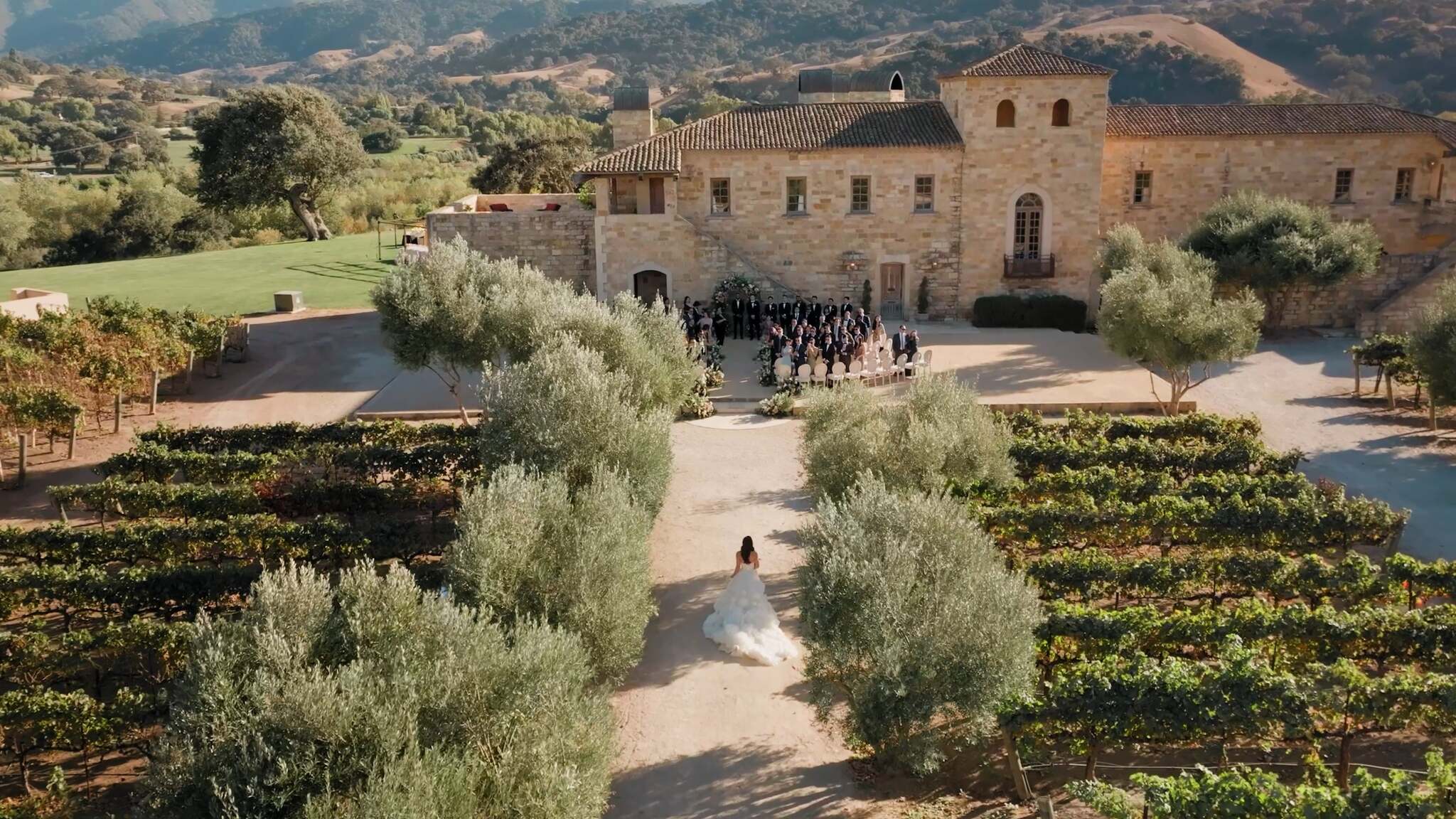 Aerial view of a wedding venue with olive trees, vineyards, ceremony guests, and a couple walking along a tree-lined path.